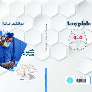 نورآناتومی آمیگدال